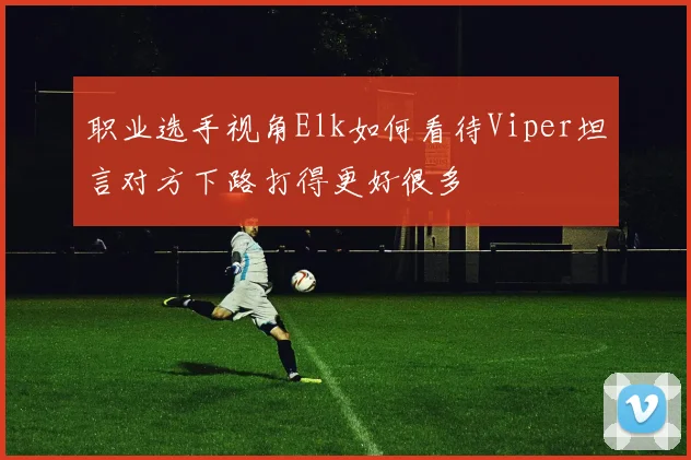 职业选手视角Elk如何看待Viper坦言对方下路打得更好很多